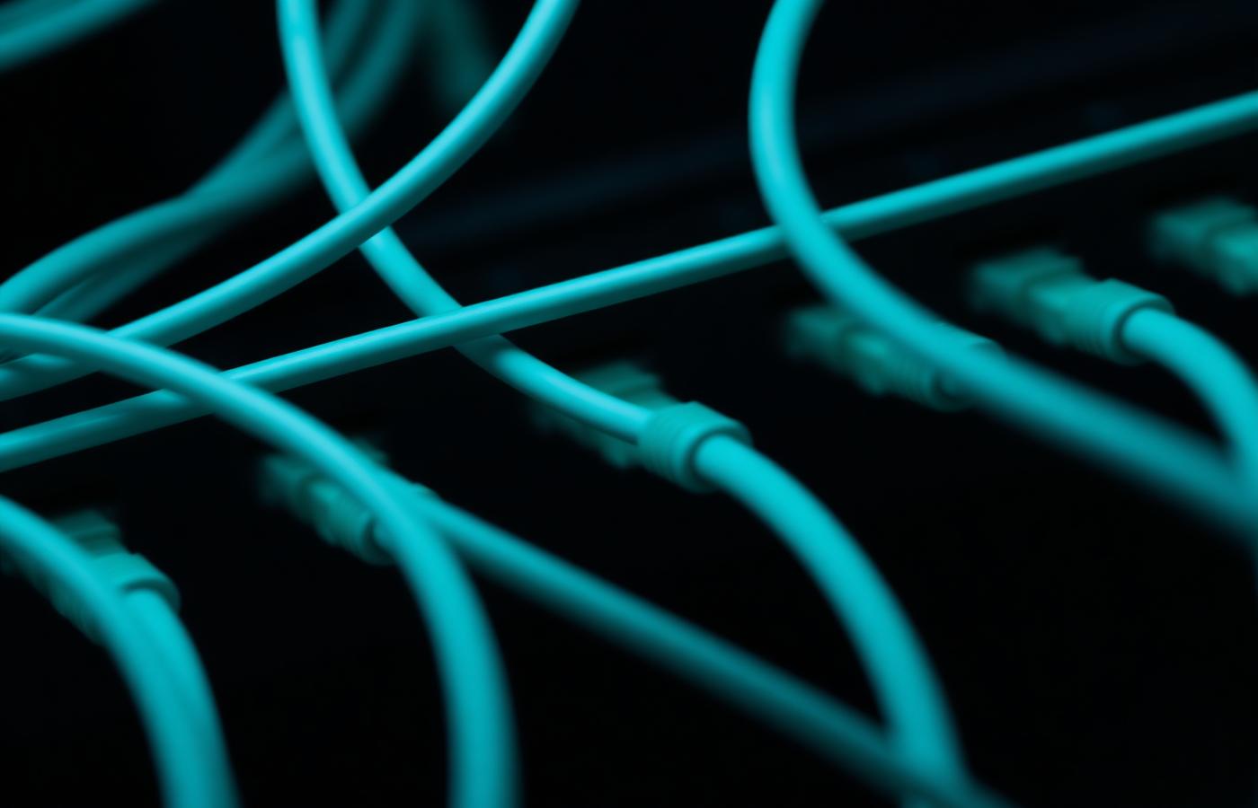 Teal fibre network cables connected to switch ports in a communications rack